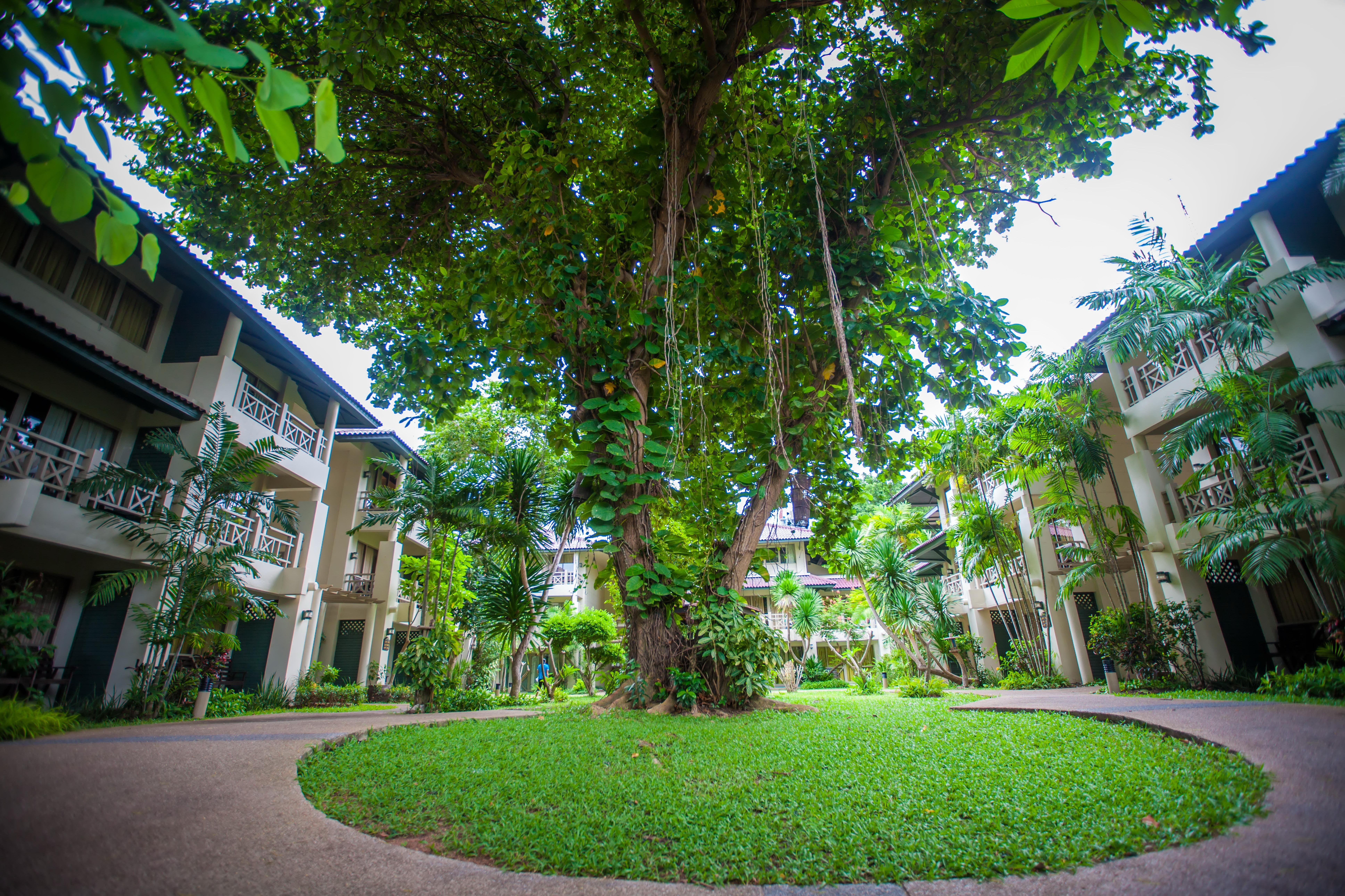 Natural Park Resort Pattaya Zewnętrze zdjęcie